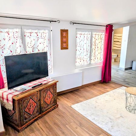 "Appartement Au Centre & Parking" Logement Petite Venise Colmar Exteriér fotografie