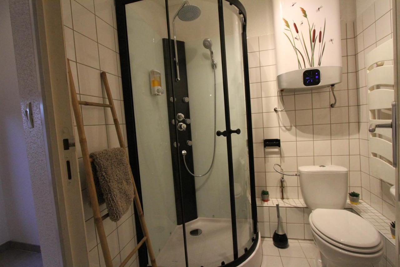 "Appartement Au Centre & Parking" Logement Petite Venise Colmar Exteriér fotografie