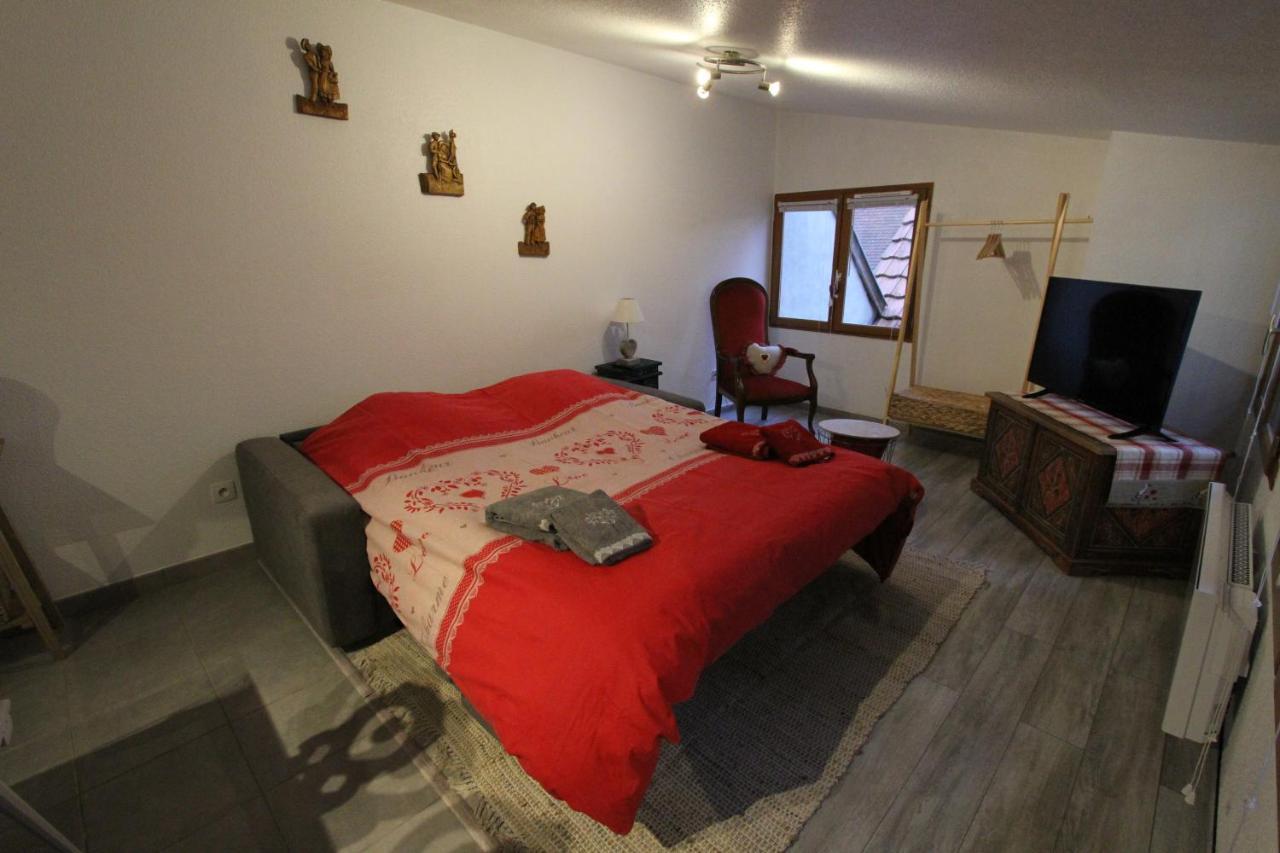 "Appartement Au Centre & Parking" Logement Petite Venise Colmar Exteriér fotografie