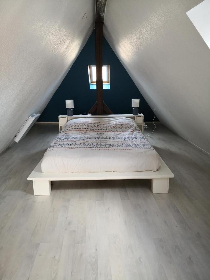 "Appartement Au Centre & Parking" Logement Petite Venise Colmar Exteriér fotografie