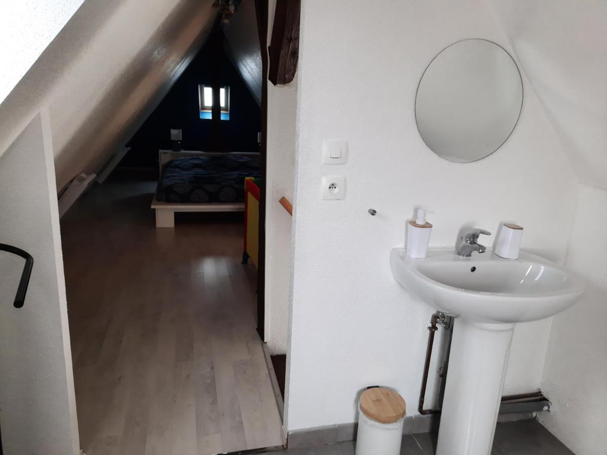"Appartement Au Centre & Parking" Logement Petite Venise Colmar Exteriér fotografie