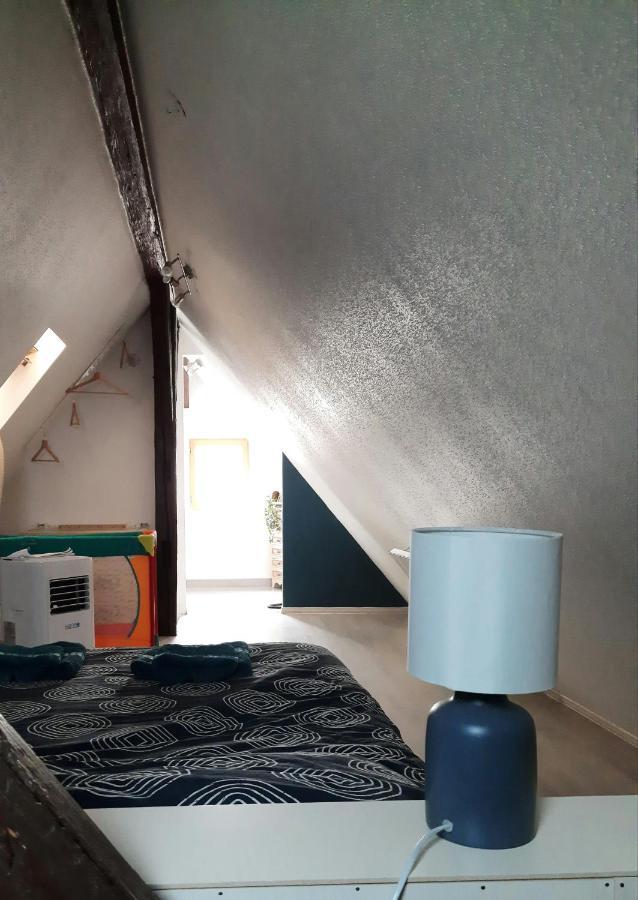 "Appartement Au Centre & Parking" Logement Petite Venise Colmar Exteriér fotografie